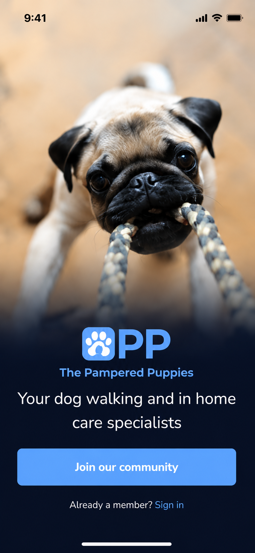 Pampered Puppies app welcome screen